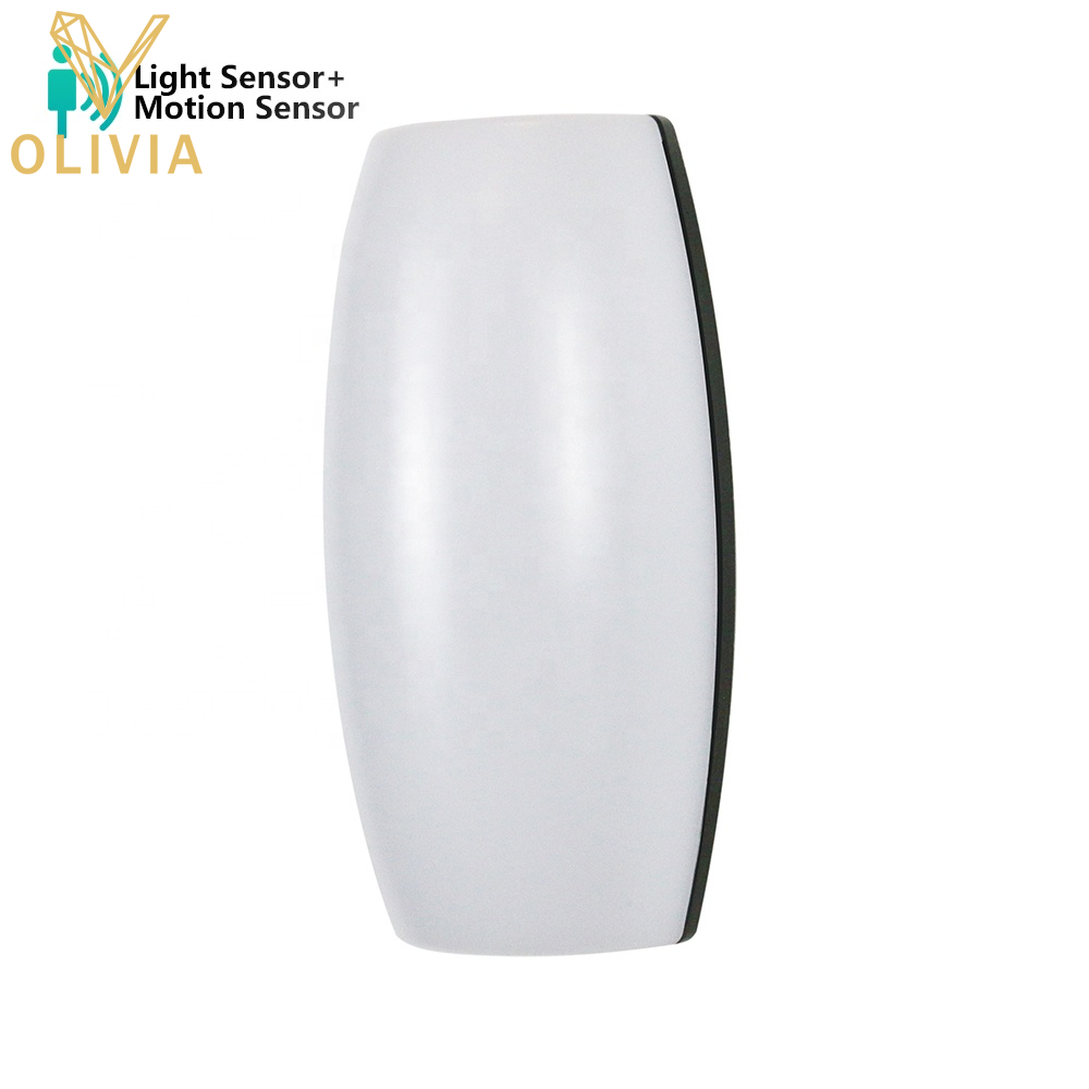 Modern Home LED Wall Light 12W