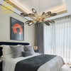 Ceiling Lamps