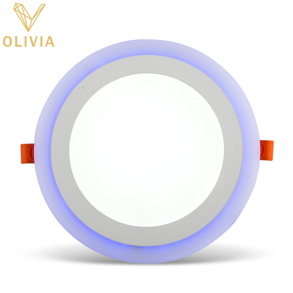 LED Double Color Panel Light RND