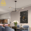 Ceiling Lamps