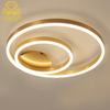 Ceiling Light