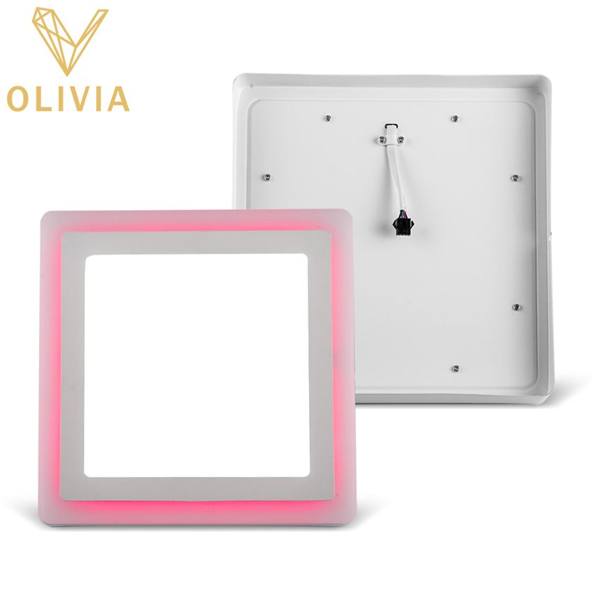 LED Double Color Panel Light Surface SQ